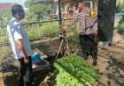 Dorong Kemandirian Pangan, Bhabinkamtibmas Ajak Warga Manfaatkan Lahan