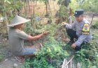 Bhabinkamtibmas Ajak Masyarakat Optimalkan Potensi Lahan