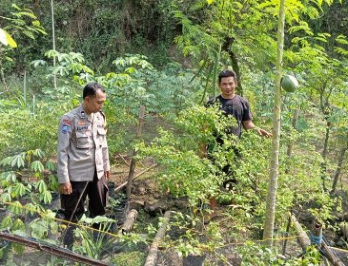 Bhabinkamtibmas Dorong Pemanfaatan Lahan Tidak Produktif untuk Ketahanan Pangan