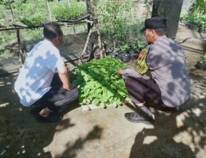 Lahan Kosong Jadi Produktif, Bhabinkamtibmas Ajak Warga Dukung Ketahanan Pangan