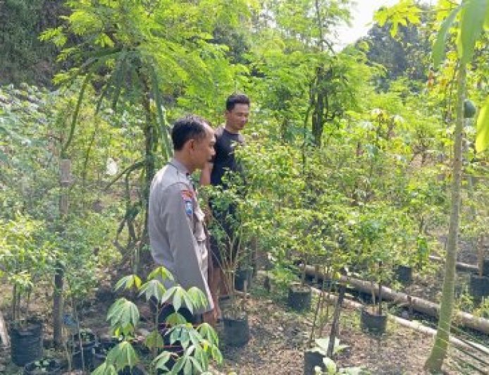 Polri Hadir di Tengah Masyarakat, Bhabinkamtibmas Edukasi Ketahanan Pangan