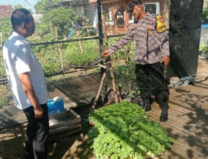 Lahan Produktif, Masyarakat Mandiri, Ketahanan Pangan Semakin Kuat