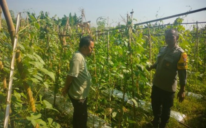 Bhabinkamtibmas Polres Madiun Dorong Warga Optimalkan Lahan untuk Ketahanan Pangan