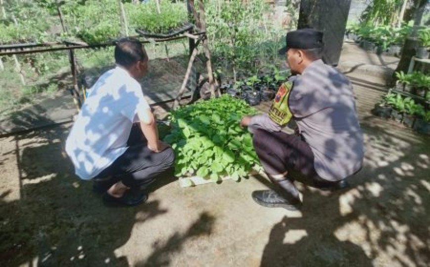 Sinergi Polri dan Petani, Polres Madiun Dorong Pertanian Produktif
