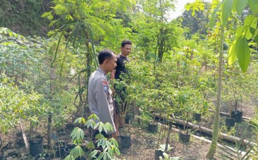 Polri Hadir di Tengah Masyarakat, Bhabinkamtibmas Edukasi Ketahanan Pangan