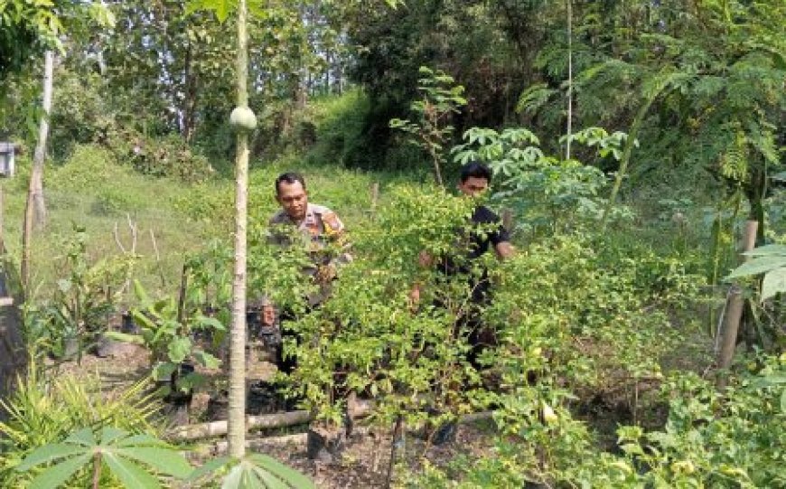 Bhabinkamtibmas Dorong Warga Jadikan Lahan Terbengkalai Lebih Bermanfaat