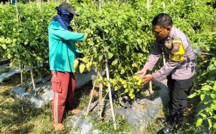Dukung Ketahanan Pangan Nasional, Bhabinkamtibmas Aktif Sambangi Masyarakat