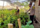 Kunjungi Warga, Bhabinkamtibmas Polres Madiun Perkuat Ketahanan Pangan dari Desa