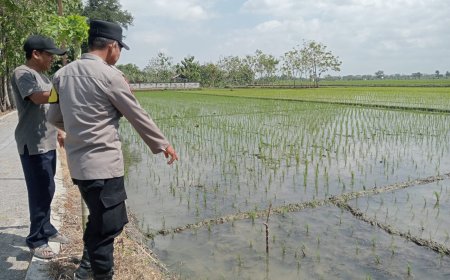 Dukung Program Ketahanan Pangan, Bhabinkamtibmas Edukasi Masyarakat Desa Binaan