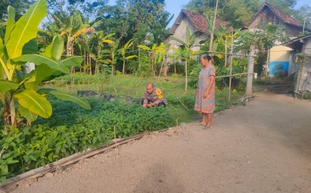 Dari Pekarangan hingga Sawah, Bhabinkamtibmas Dukung Gerakan Ketahanan Pangan