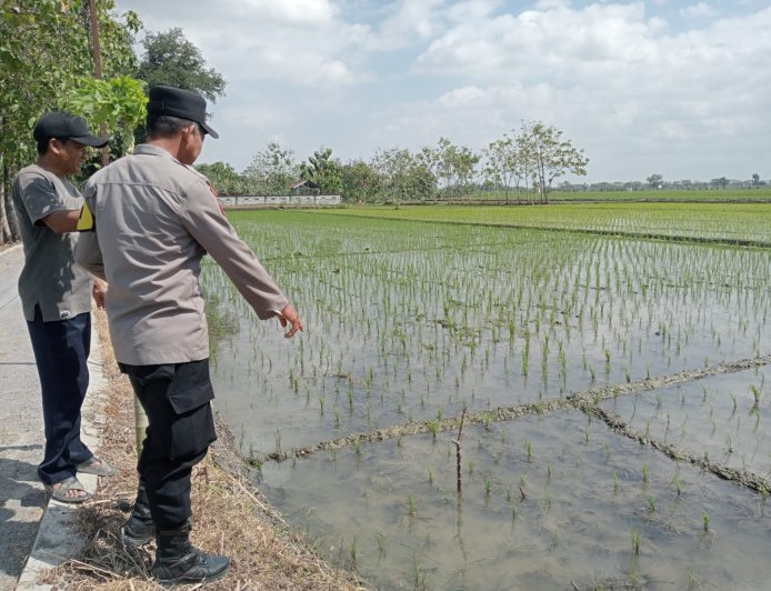 Ketahanan Pangan Dimulai dari Lingkungan Sendiri, Bhabinkamtibmas Sambangi Warga