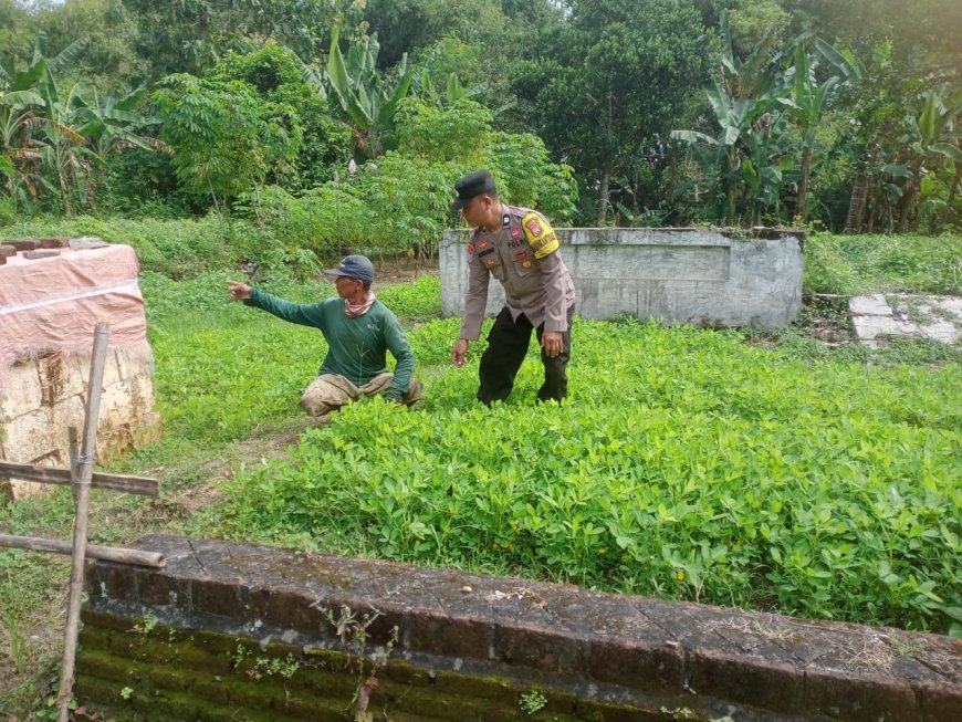 Bhabinkamtibmas dan Masyarakat Bersama Dukung Ketahanan Pangan